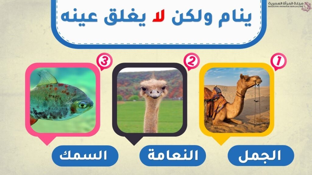 تحدي العقل والمرح: ألغاز عمر 10 سنوات ممتعة ومسلية للأطفال 2 ألغاز عمر 10 سنوات